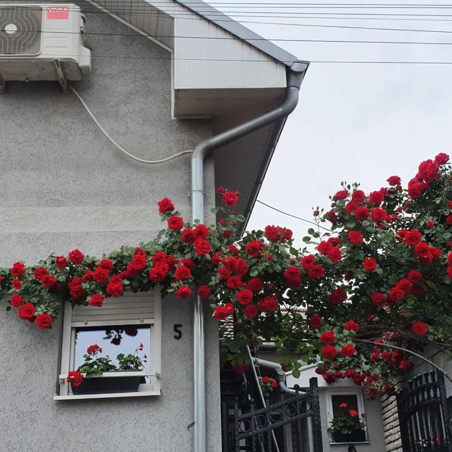 Fortress Apartments นิส ภายนอก รูปภาพ